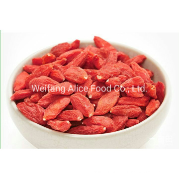 China Ningxia Organic Goji Berry Bulk Sell Gojiberry and Wolfberry